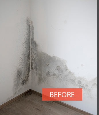 Before mould treatment - wall with visible black mould and damp damage